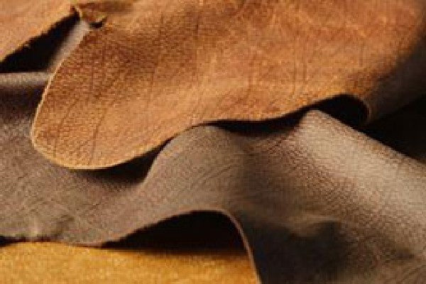 10001846_201701_18003