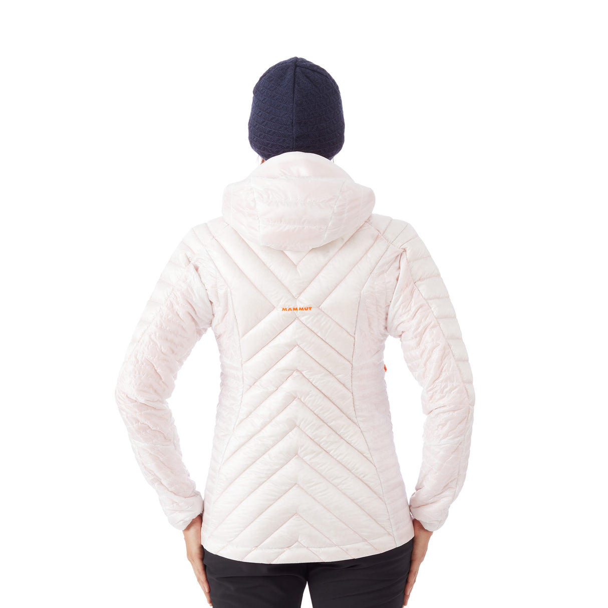 1010-24730-00229_mod-back_128360