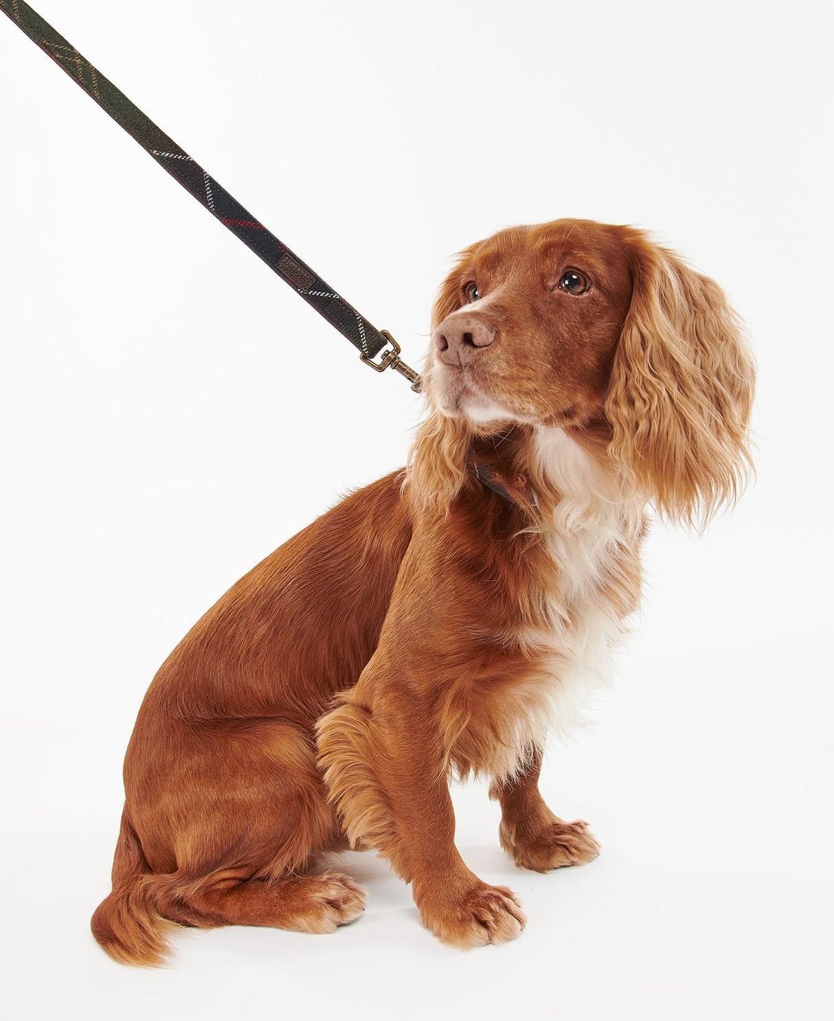 Barbour-Tartan-Dog-Lead-7