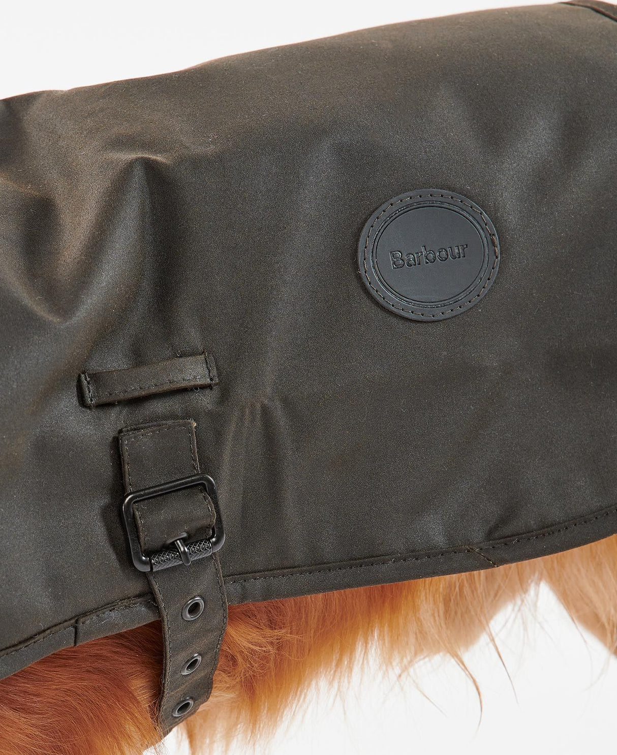 Barbour-Wax-Dog-Coat-Olive-6