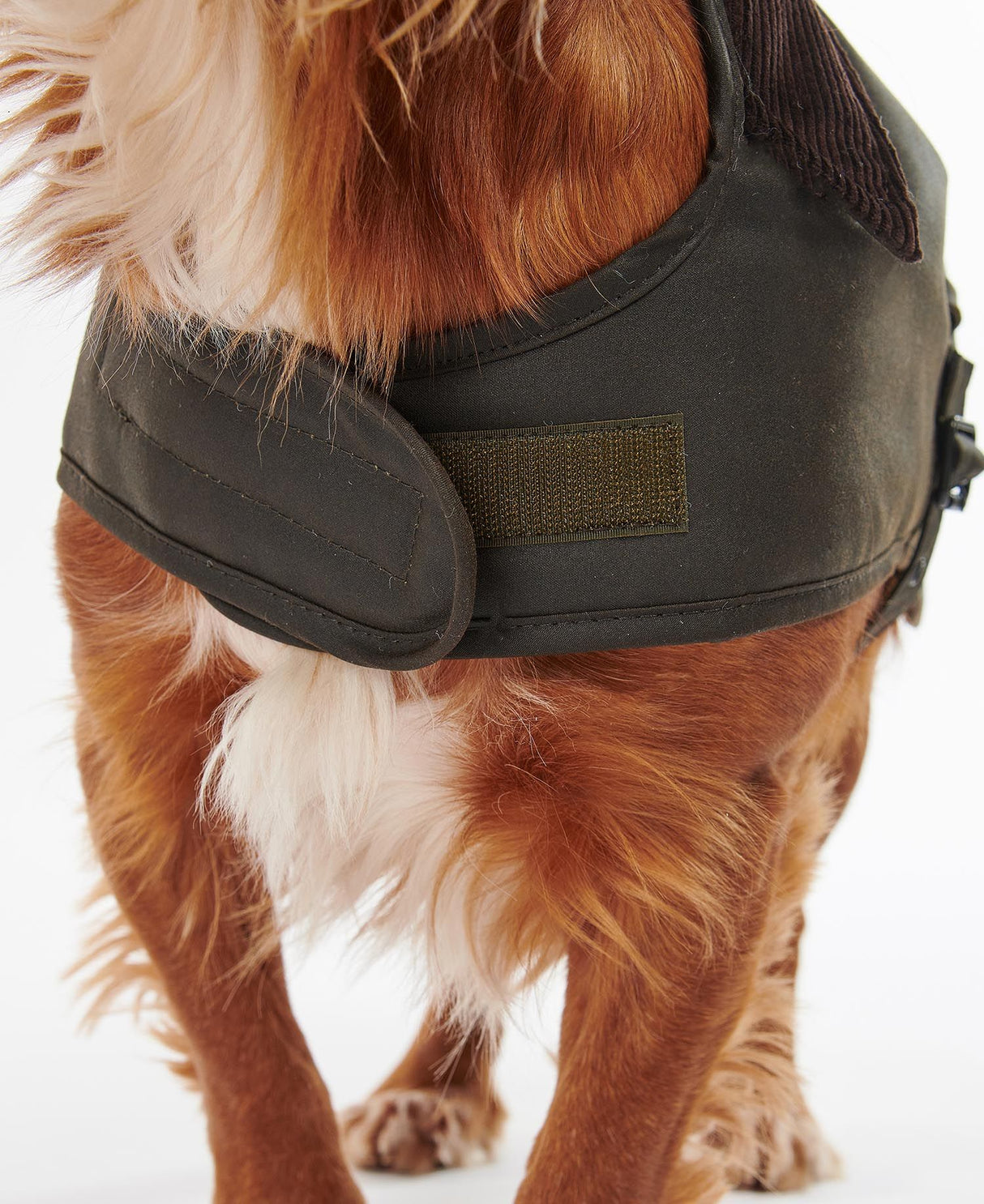 Barbour-Wax-Dog-Coat-Olive-7