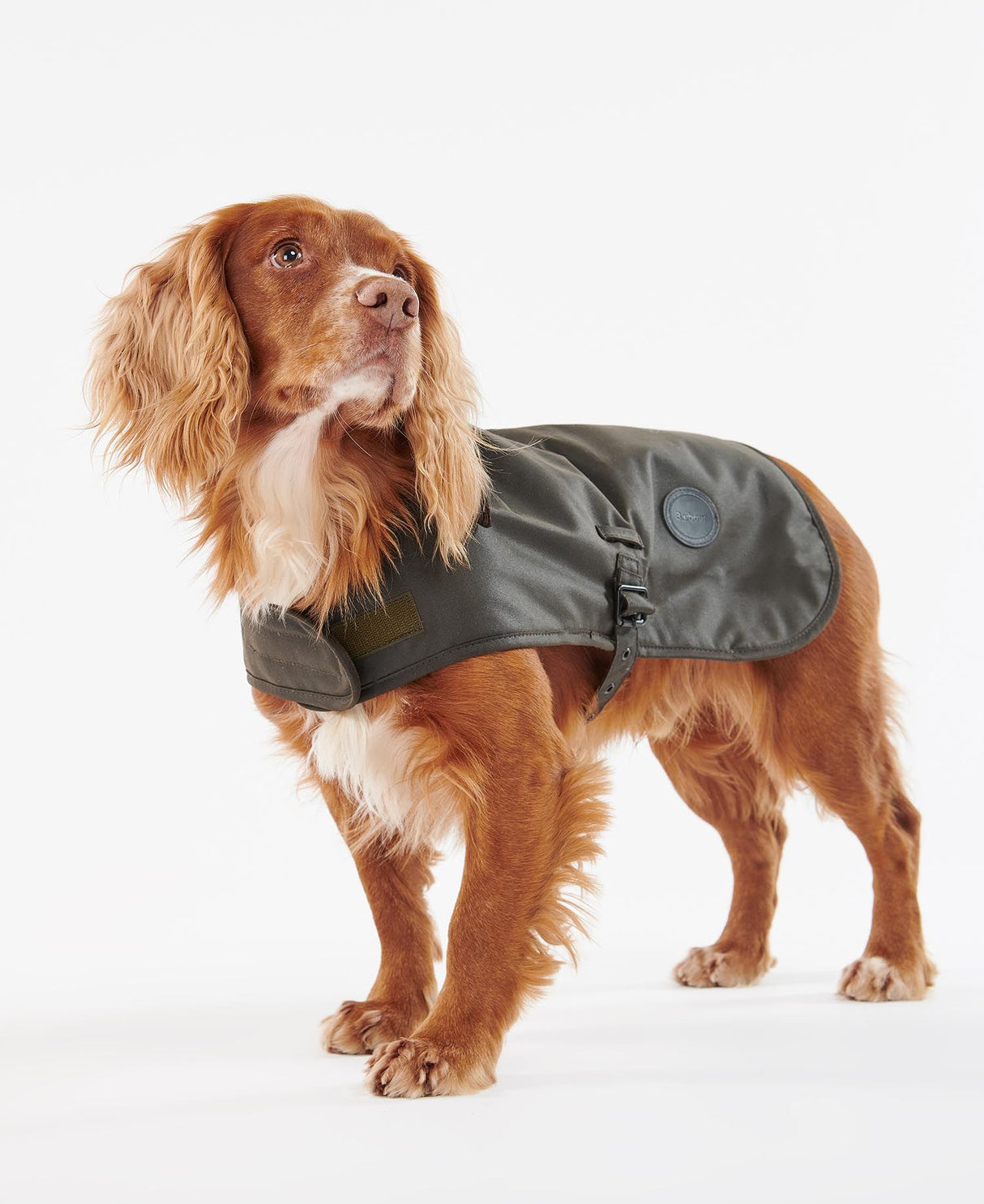 Barbour-Wax-Dog-Coat-Olive-8