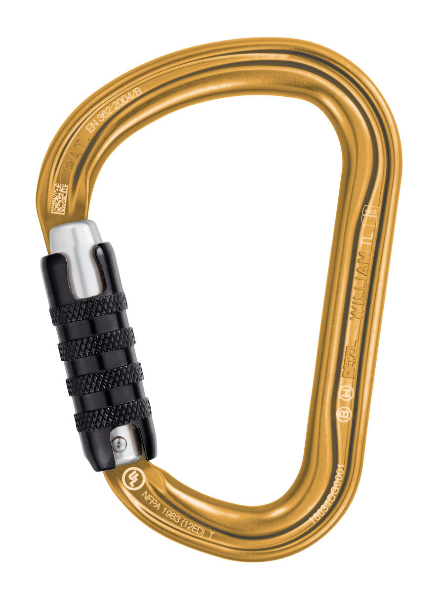 M36A-TLY-WILLIAM-TL-GOLD_LowRes