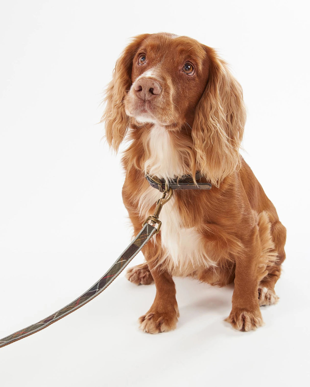 Reflective Tartan Lead Classic