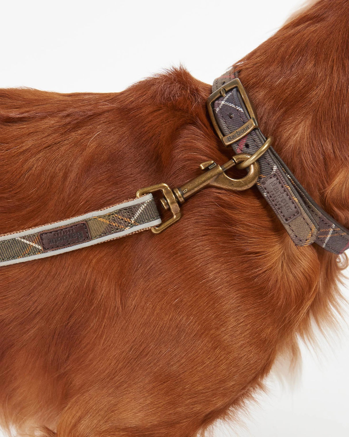 Reflective Tartan Lead Classic