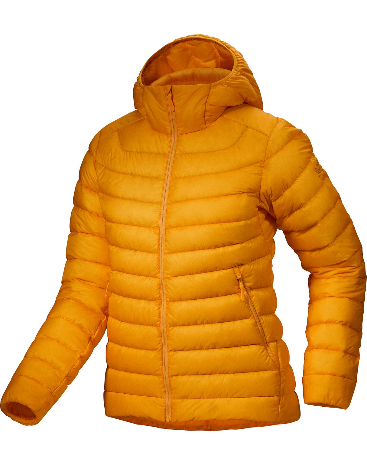 cerium-hoody-edziza-1