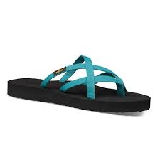 downloadHPNnTv9Ws6ug3