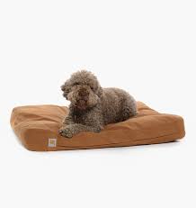 images-1pn9aGoFrzCshF