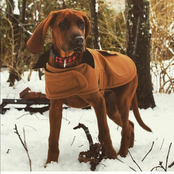 m_5c012249194dada10a855cf5