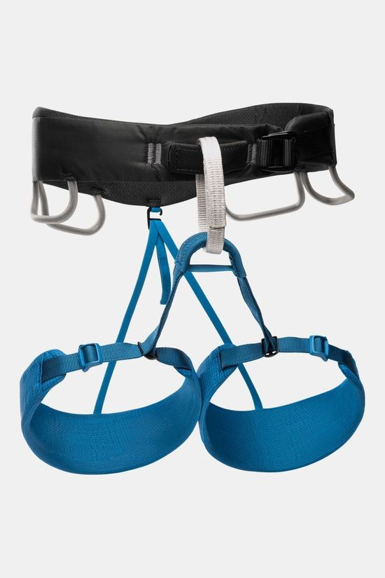 momentum-kingfisher-1