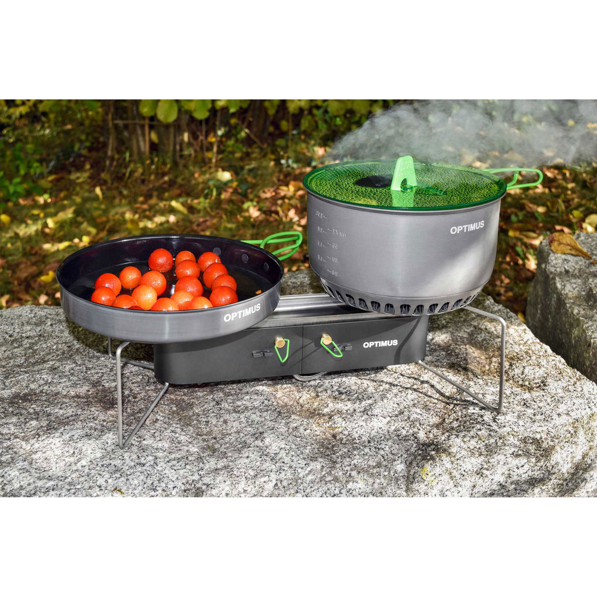 opt8020872_-_gemini-6