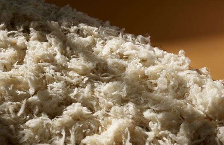 t05_product_related_woolMOYApE9b4Je8n