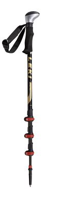 2-leki-photosysteem-carbon-blackgold-nc