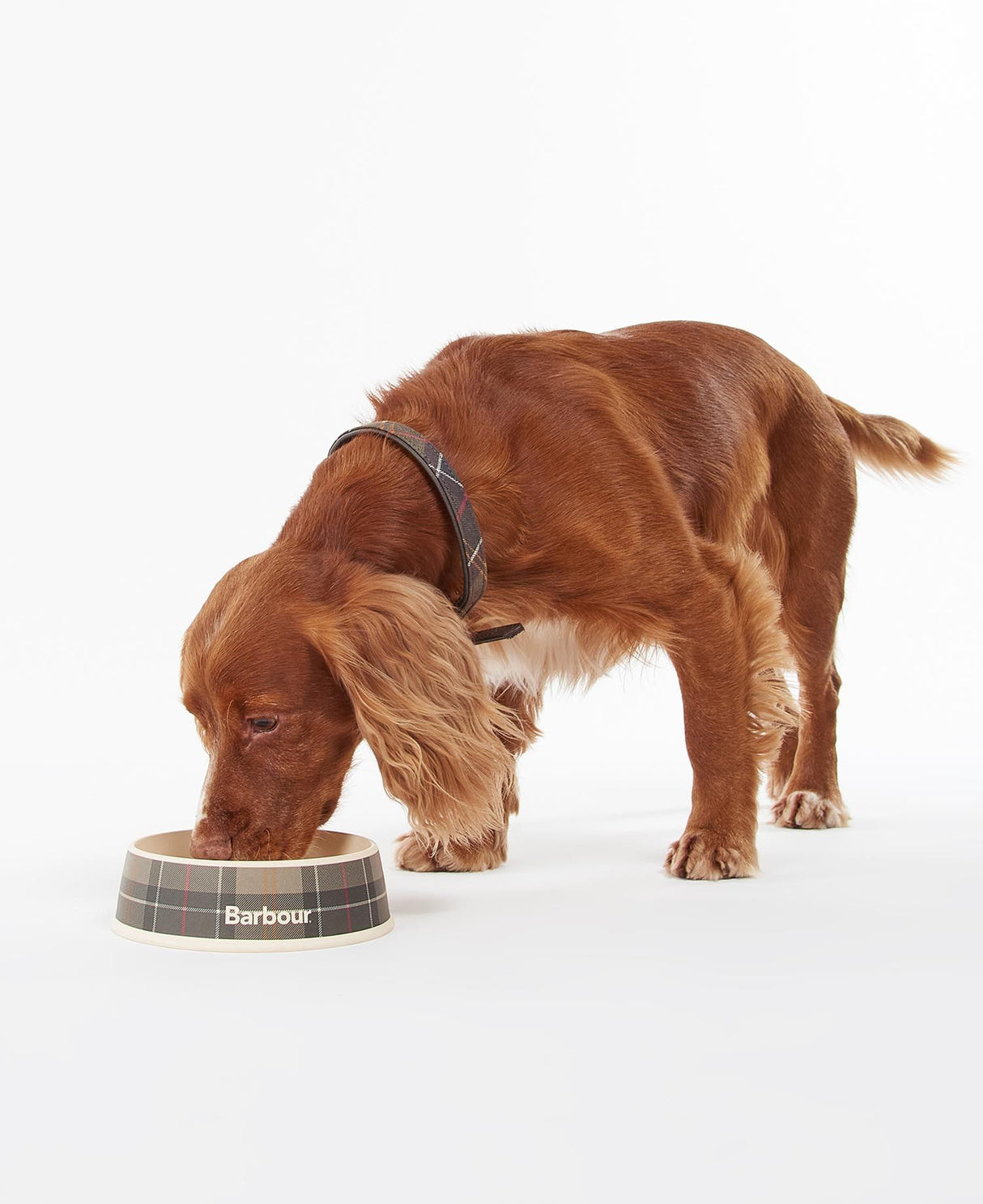 Barbour-Tartan-Dog-Bowl-4