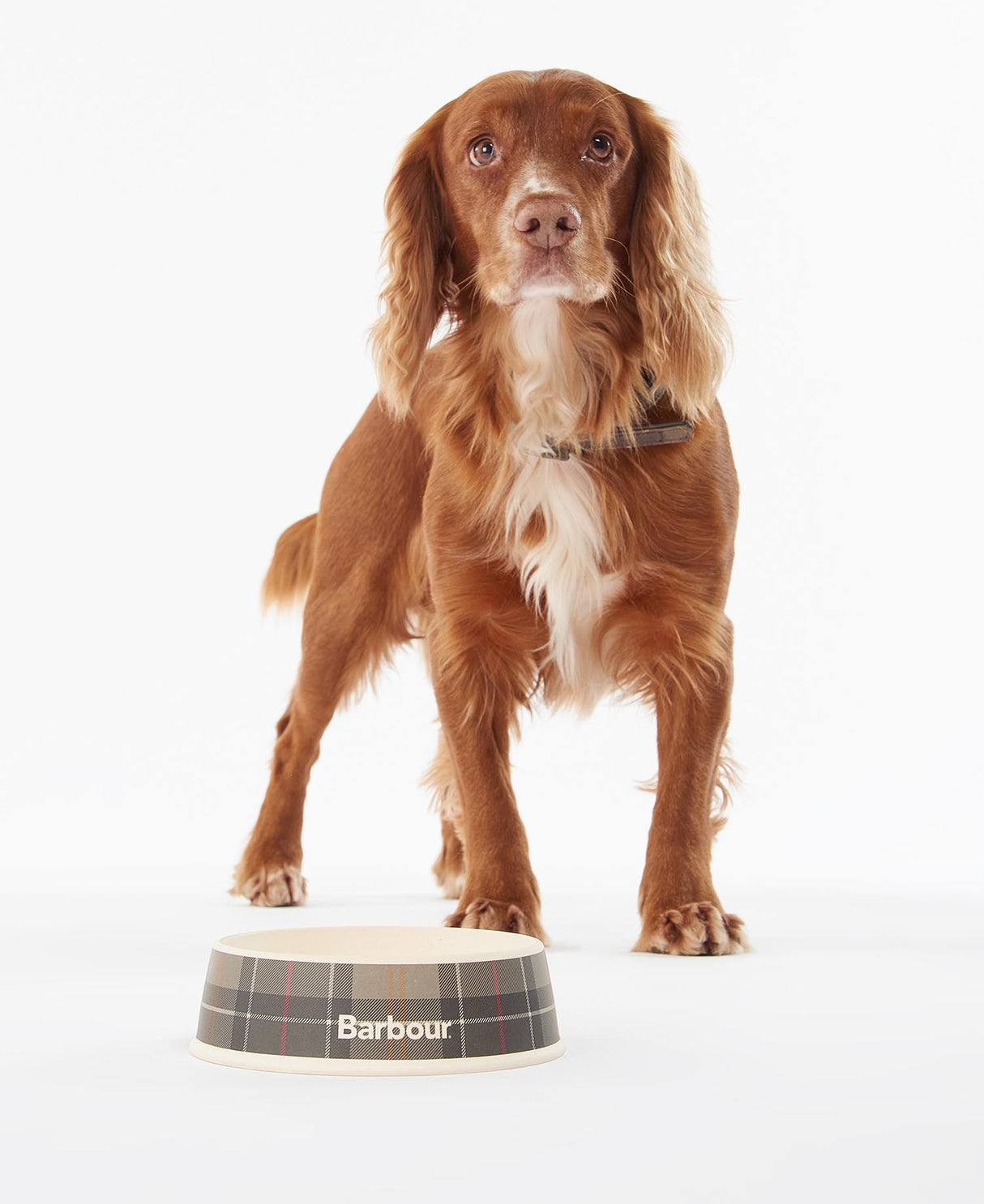 Barbour-Tartan-Dog-Bowl-5