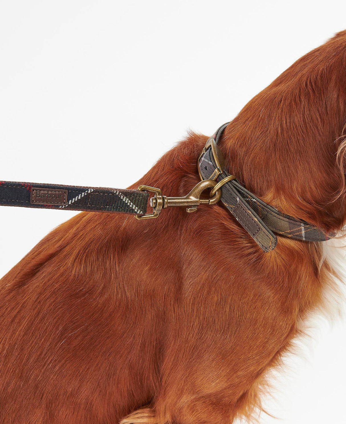 Barbour-Tartan-Dog-Lead-6