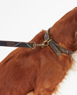 Barbour-Tartan-Dog-Lead-6