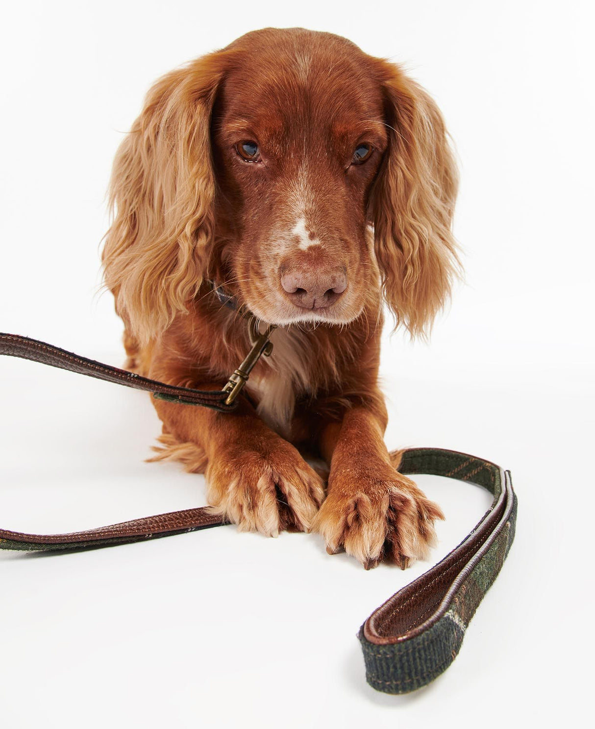 Barbour-Tartan-Dog-Lead-8