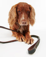 Barbour-Tartan-Dog-Lead-8