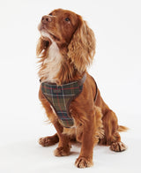 Barbour-Travel-Excercise-Harness-4