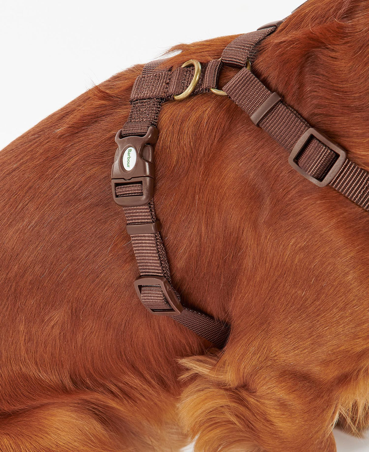 Barbour-Travel-Excercise-Harness-7