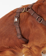 Barbour-Travel-Excercise-Harness-7