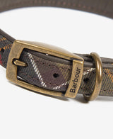 Classic-Tartan-Leather-Collar-2