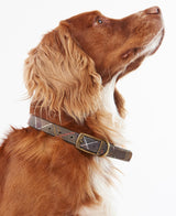 Classic-Tartan-Leather-Collar-3