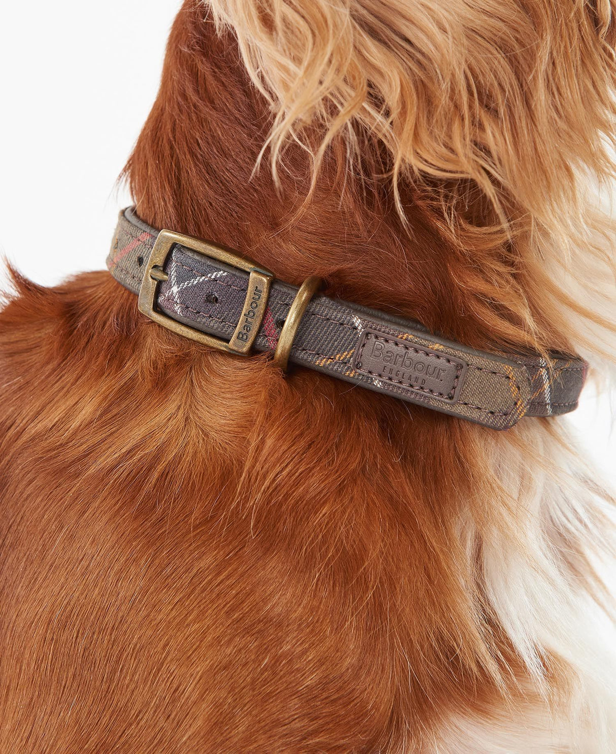 Classic-Tartan-Leather-Collar-5