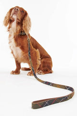 Tartan Dog Lead Classic Tartan