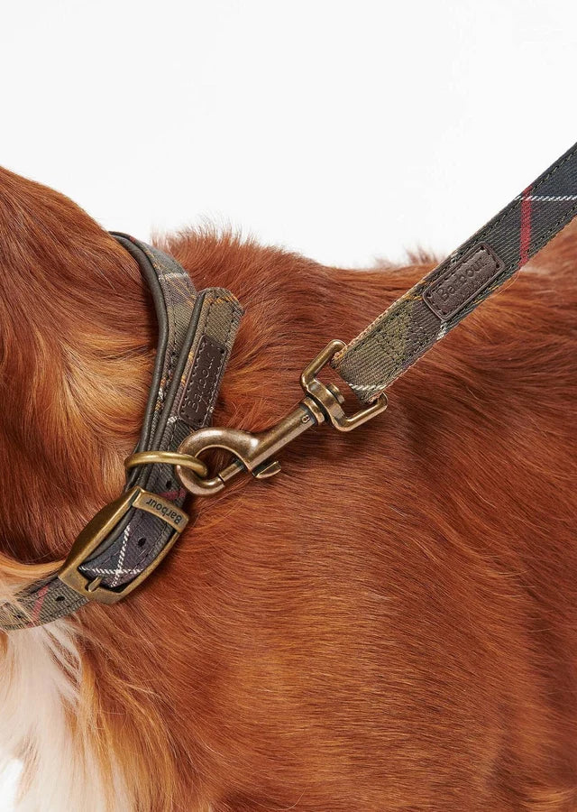 Tartan Dog Lead Classic Tartan