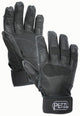 K53-N-CORDEX-PLUS_Thumbnail