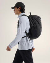 Mantis 26