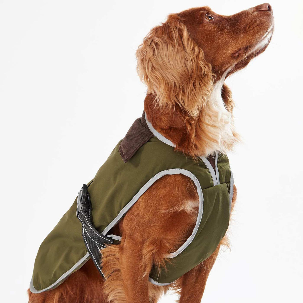 Monmouth Waterproof Dog Coat