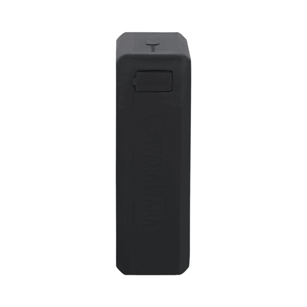 Power 20 Powerbank