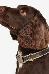 Reflec-Collar-Small-02