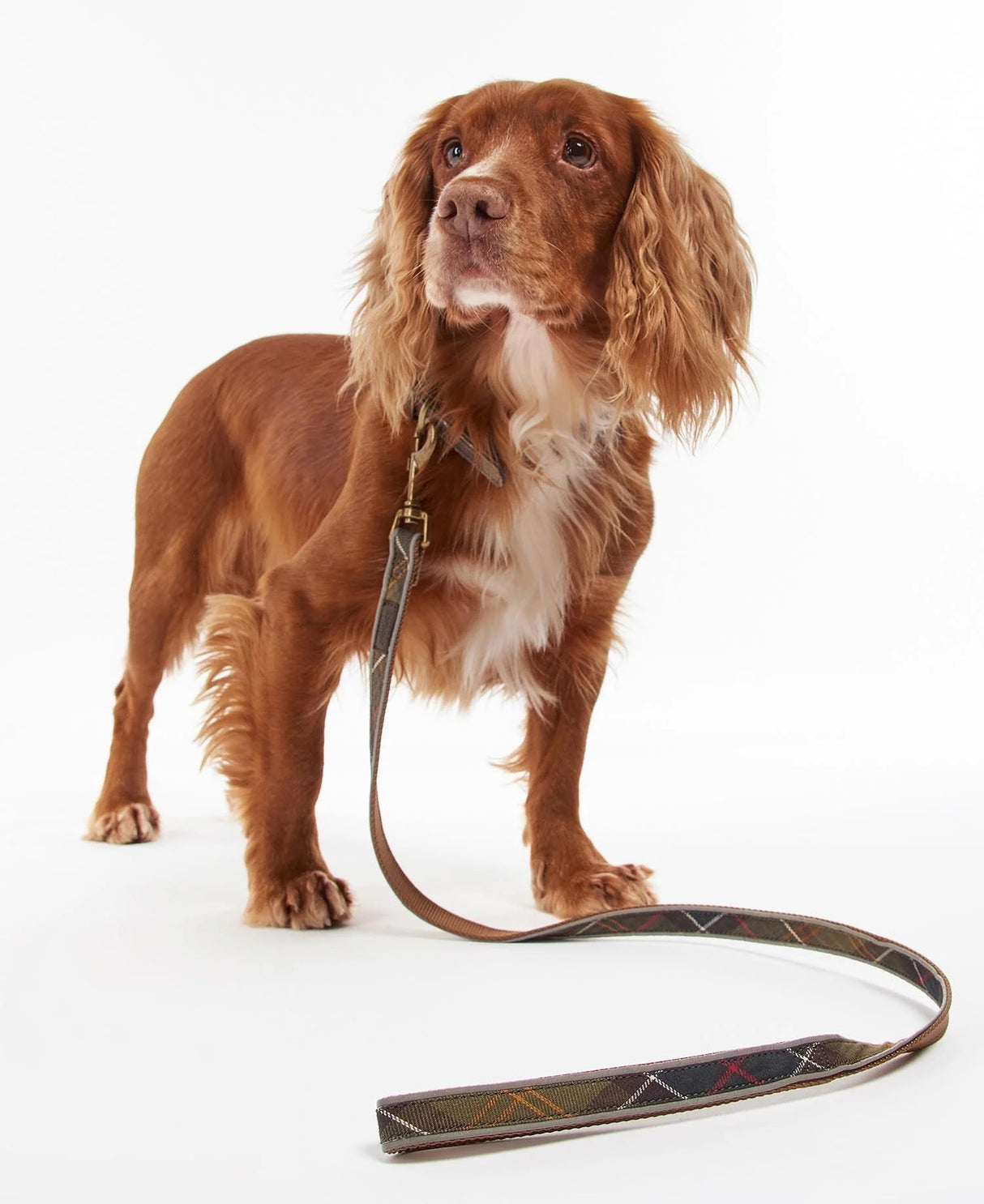 Reflective-Lead-ClaaTart-03
