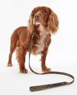 Reflective-Lead-ClaaTart-03