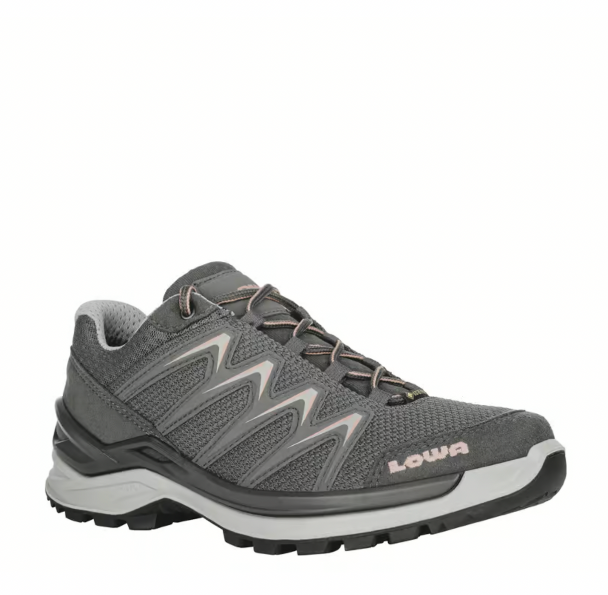 Innox Pro GTX Lo W