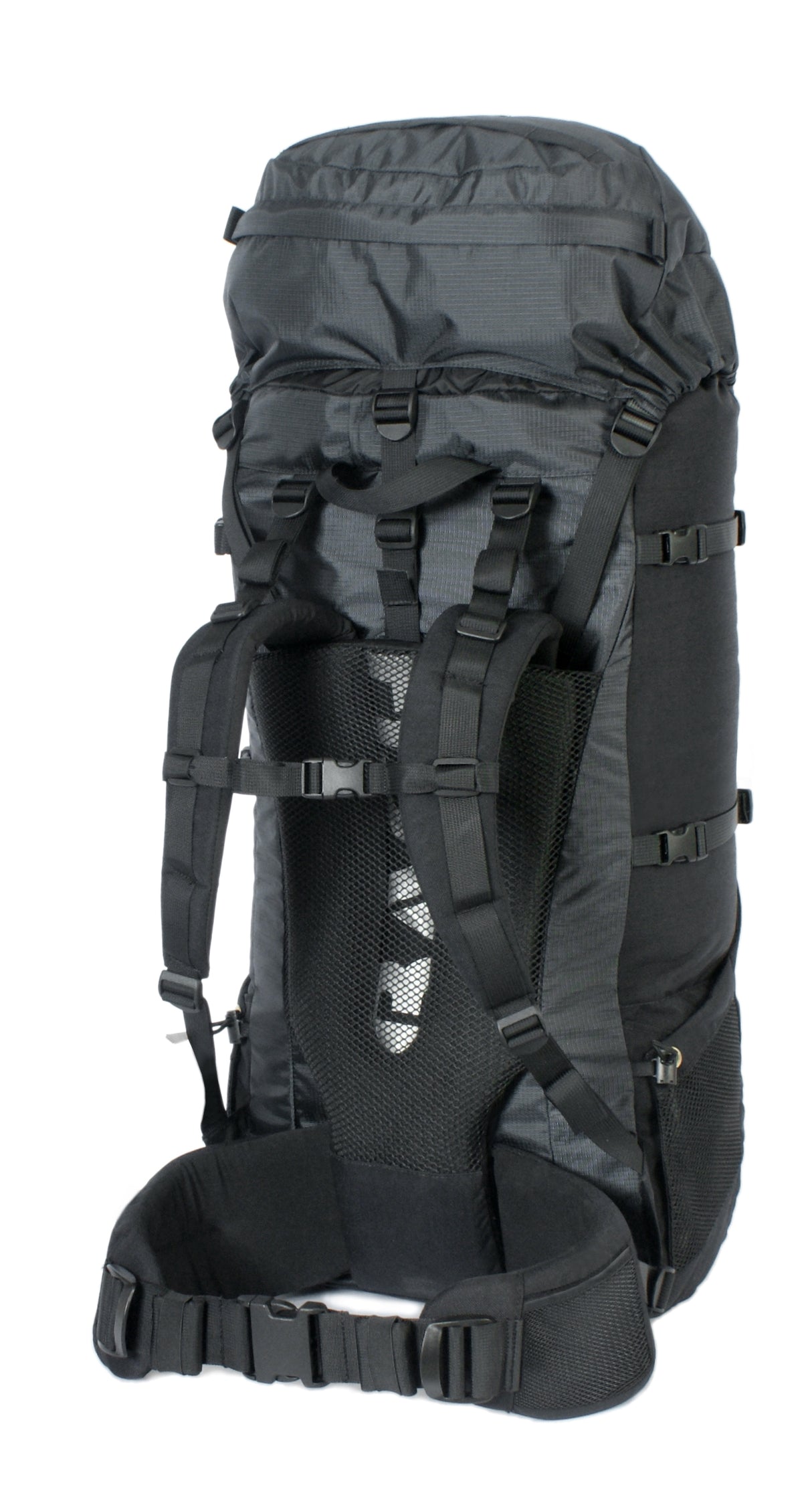 Specialist_black_back