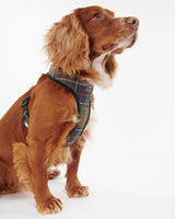 Classic Tartan Dog Harness