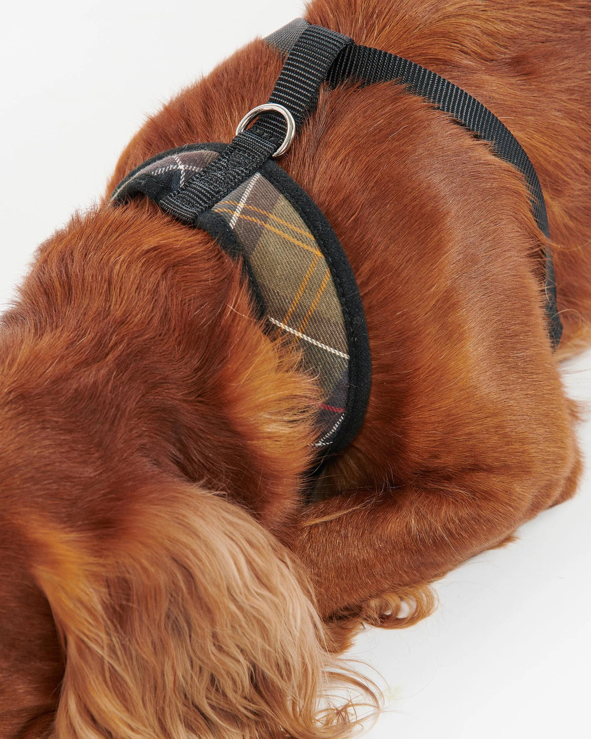 Classic Tartan Dog Harness