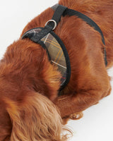 Classic Tartan Dog Harness