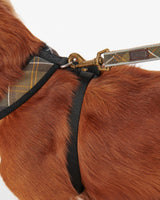 Classic Tartan Dog Harness