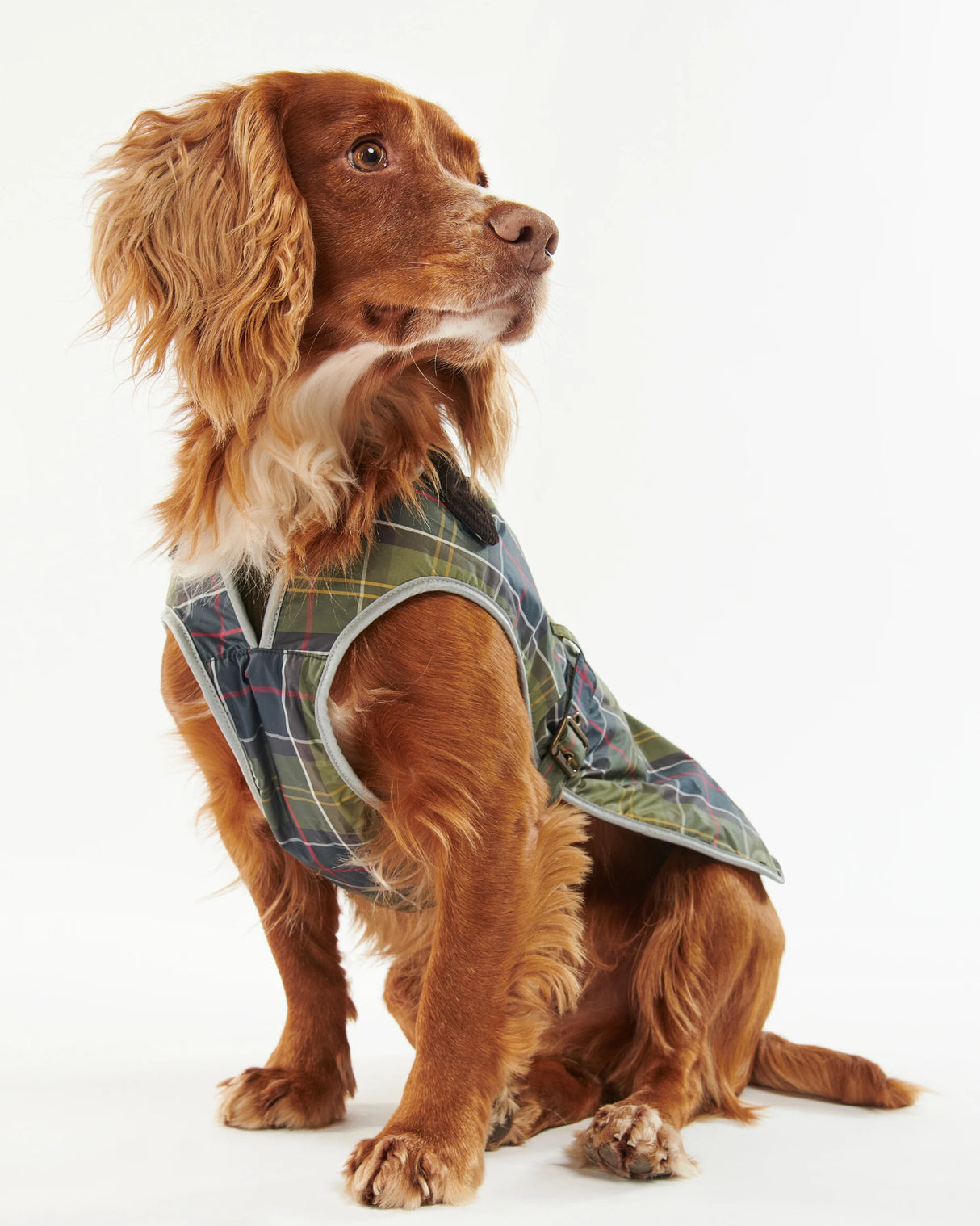 Waterproof Dog Coat