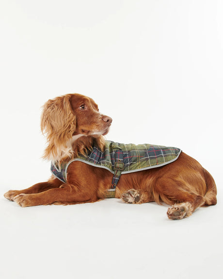 Waterproof Dog Coat