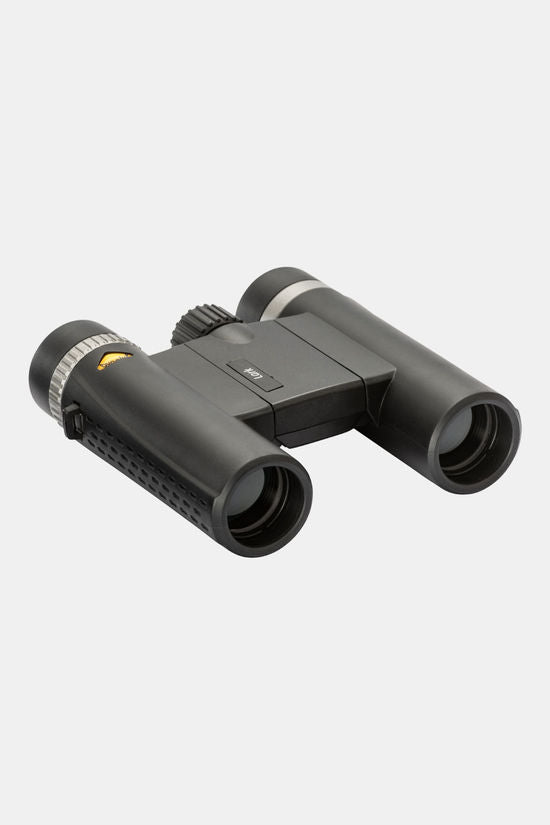 Lark 10 x 25