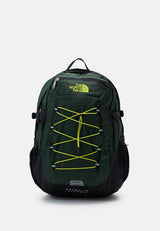 borealis-pine-1