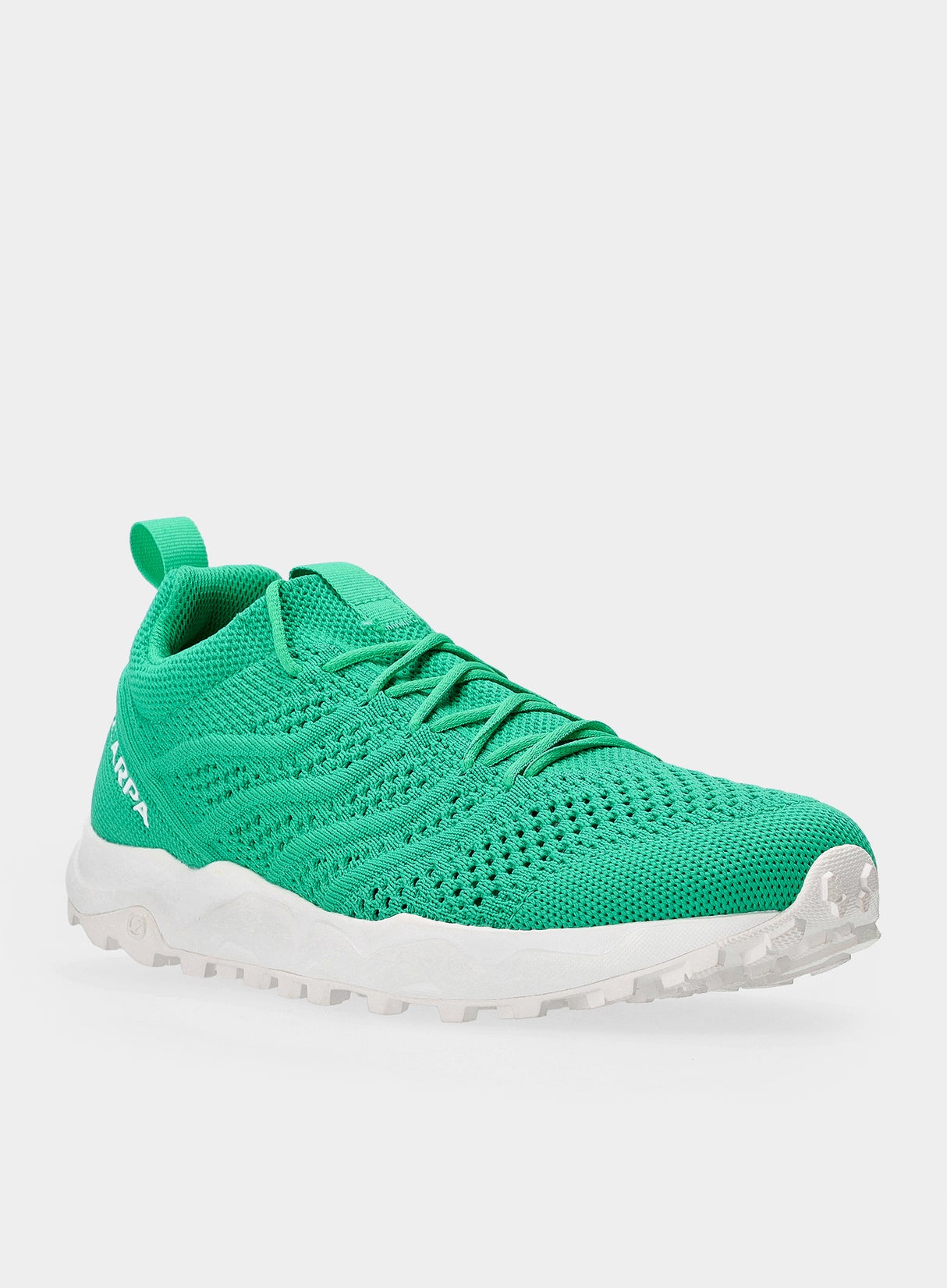 gecko-aqua-1