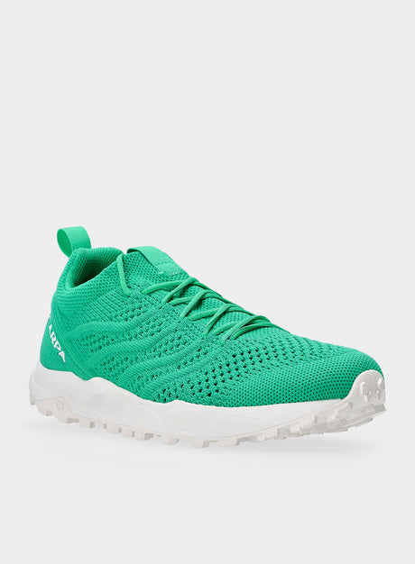 gecko-aqua-1
